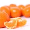 Arme :  Tangerine 
Dernire mise  jour le :  11-01-2015 