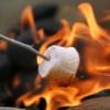 Arôme : Toasted Marshmallow
Dernière mise à jour le : 03-11-2016 Arôme : Toasted Marshmallow
Dernière mise à jour le : 03-11-2016