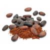 Arme :  Cocoa 
Dernire mise  jour le :  15-08-2014 