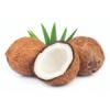 Arme :  coco (coconut) par FlavourArt