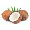 Arme :  Coconut ( FlavourArt ) 