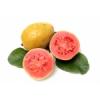 Arôme : Guava
Dernière mise à jour le : 03-12-2014 Arôme : Guava
Dernière mise à jour le : 03-12-2014