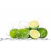 Arôme : Lime Tahity Cold Pressed
Dernière mise à jour le : 17-03-2015 Arôme : Lime Tahity Cold Pressed
Dernière mise à jour le : 17-03-2015