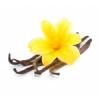 Arôme : vanilla bourbon par FlavourArt Arôme : vanilla bourbon par FlavourArt