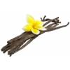 Arme :  Madagascar Vanilla Classic 
Dernire mise  jour le :  15-08-2014 