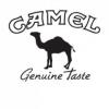 Arme :  camel par HiLIQ