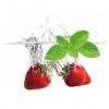 Arme :  Menthol Strawberry par HiLIQ