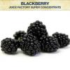 Arme :  Blackberry Sc 
Dernire mise  jour le :  04-10-2014 