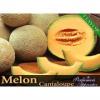 Arme :  Cantaloupe 
Dernire mise  jour le :  17-06-2019 