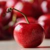 Arme :  Cherry Extract 
Dernire mise  jour le :  29-05-2014 