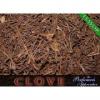 Arme :  Clove 
Dernire mise  jour le :  15-08-2014 