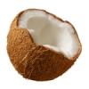 Arôme : coconut par Perfumer's Apprentice Arôme : coconut par Perfumer's Apprentice
