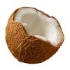 Arme :  Coconut 
Dernire mise  jour le :  29-05-2014 