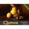 Arôme : Quince
Dernière mise à jour le : 12-02-2015 Arôme : Quince
Dernière mise à jour le : 12-02-2015