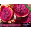 Arme :  dragonfruit par Perfumer's Apprentice