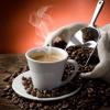 Flavor :  Espresso 
Last updated on :  04-06-2016 