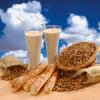 Arme :  Horchata 
Dernire mise  jour le :  15-08-2014 