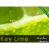 Arme :  Key Lime ( Perfumer's Apprentice ) 