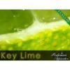 Arôme : key lime par Perfumer's Apprentice Arôme : key lime par Perfumer's Apprentice