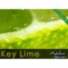 Arme :  Key Lime par Perfumer's Apprentice