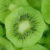 Arme :  Kiwi Double 
Dernire mise  jour le :  04-05-2014 