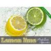 Arme :  Lemon Lime 
Dernire mise  jour le :  04-01-2015 