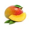 Arme :  Mango 
Dernire mise  jour le :  12-10-2014 