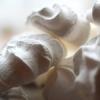 Arme :  meringue par Perfumer's Apprentice