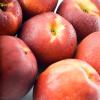 Arôme : Nectarine
Dernière mise à jour le : 07-01-2019 Arôme : Nectarine
Dernière mise à jour le : 07-01-2019