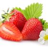 Arme :  Organic Strawberry par Perfumer's Apprentice