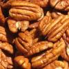 Arme :  Pecan 
Dernire mise  jour le :  14-10-2016 