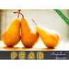 Arme :  Pear ( Perfumer's Apprentice ) 