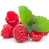 Arme :  Raspberry Sweet 
Dernire mise  jour le :  20-05-2018 