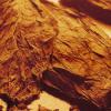 Arôme : Red Type Blend
Dernière mise à jour le : 12-10-2014 Arôme : Red Type Blend
Dernière mise à jour le : 12-10-2014