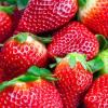 Arôme : strawberry ripe par Perfumer's Apprentice Arôme : strawberry ripe par Perfumer's Apprentice