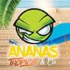 Arme :  Ananas Tropical Et Co 
Dernire mise  jour le :  15-06-2018 