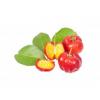 Arme :  Acerola Cherry par Sasami
