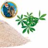 Arôme : Effervescent Powder Woodruff
Dernière mise à jour le : 13-10-2016 Arôme : Effervescent Powder Woodruff
Dernière mise à jour le : 13-10-2016