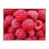 Arôme : Framboise
Dernière mise à jour le : 05-08-2016 Arôme : Framboise
Dernière mise à jour le : 05-08-2016