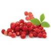 Arôme : fraise des bois par Solana Arôme : fraise des bois par Solana