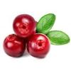 Arme :  Cranberry