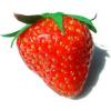 Arme : Arme :  Fraise par Solubarome