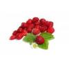 Arme :  Fraise Bois 
Dernire mise  jour le :  27-05-2014 