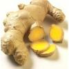 Arôme : gingembre par Solubarome Arôme : gingembre par Solubarome