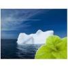 Arme :  Mint Iceberge ( Solubarome ) 