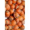 Arôme : noisette par Solubarome Arôme : noisette par Solubarome