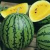 Arôme : pasteque par Solubarome Arôme : pasteque par Solubarome