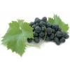 Arme :  Raisin Rouge 
Dernire mise  jour le :  14-09-2018 