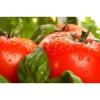 Arme :  Tomato Basilico 
Dernire mise  jour le :  16-02-2018 