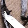 Arôme : vanille gousses par Solubarome Arôme : vanille gousses par Solubarome